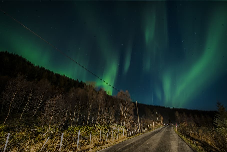 norte, luces, pavimento, aurora boreal, lofoten, noruega, noche, verde, cielo, azul