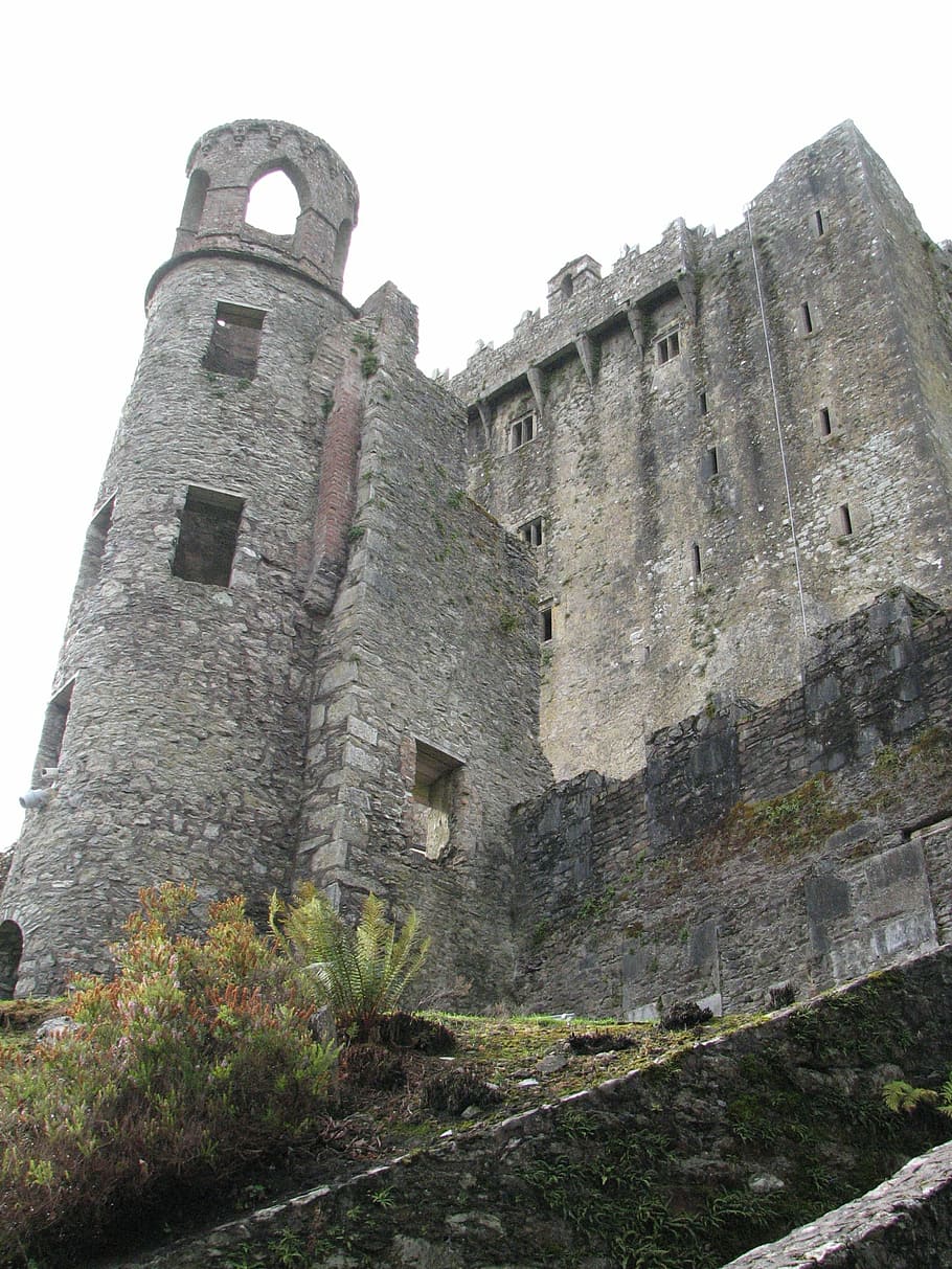blarney castle, ireland, cork, history, the past, architecture, built structure, building exterior, low angle view, sky
