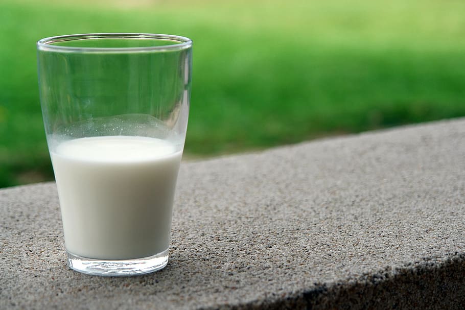 selective, focus, clear, drinking glass, drink, white, milk, goat, milk product, food