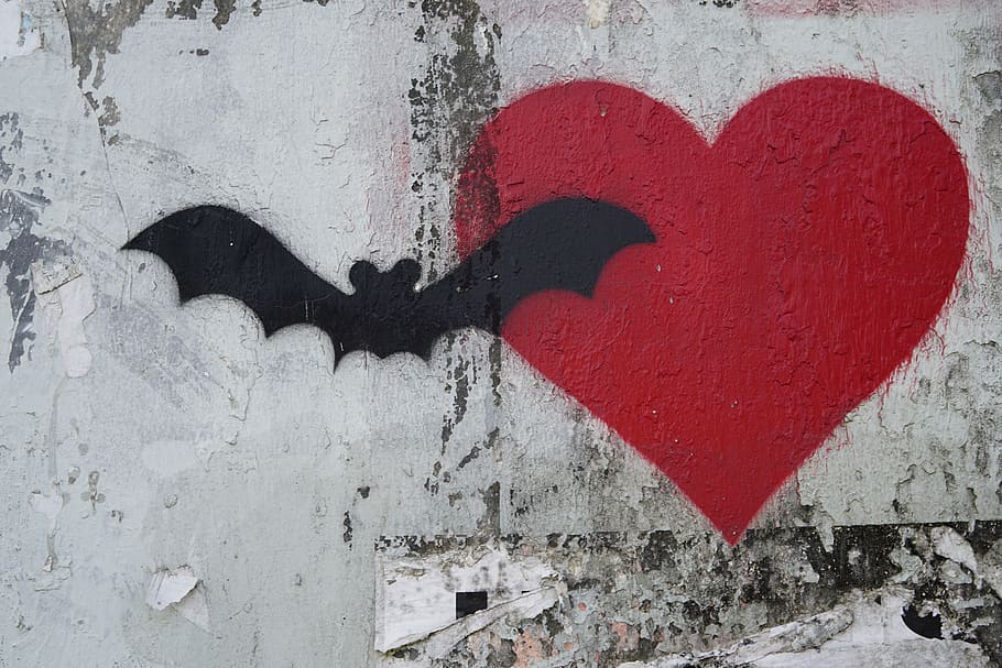 bat, heart wall art, indonesia, bali, denpasar, prison, kerobokan, tower, wire, barbed wire