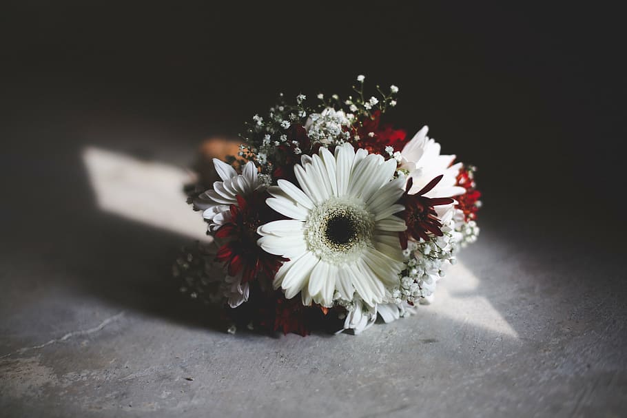 bouquet flowers, floor, white, red, beige, petal, flower, bouquet, gray, surface