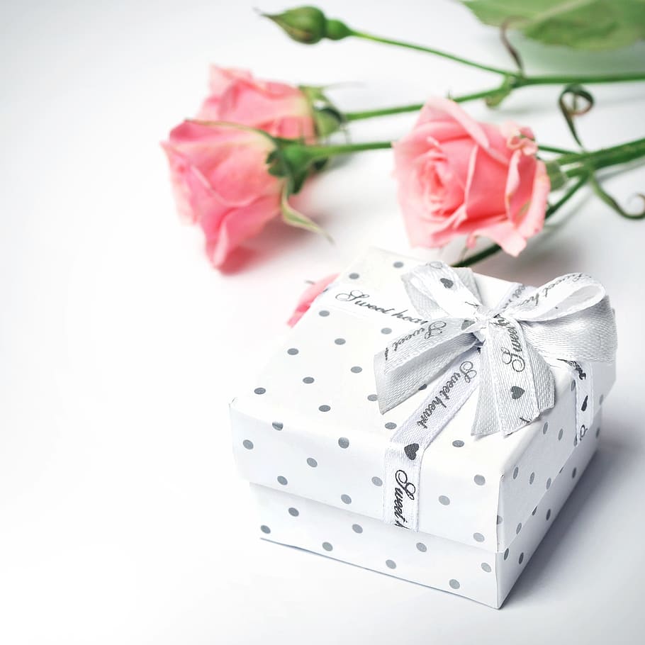white gift box, gift, flowers, roses, bud, beautiful, holiday, rose, flower, plants