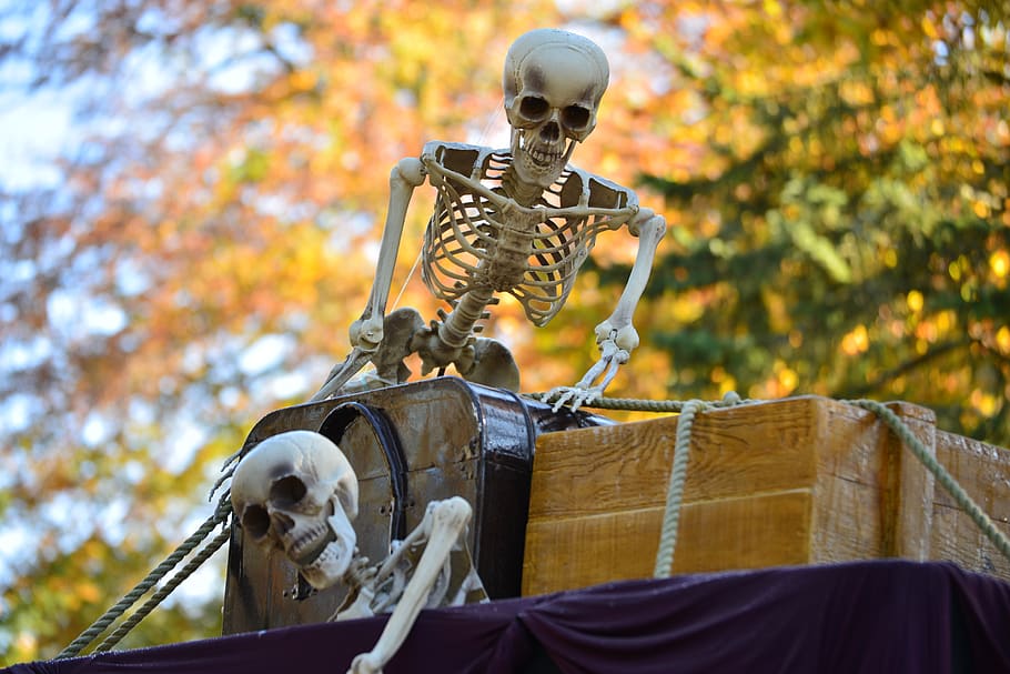halloween, skeleton, death, bone, skull, pirate, horror, dead, scary, gothic