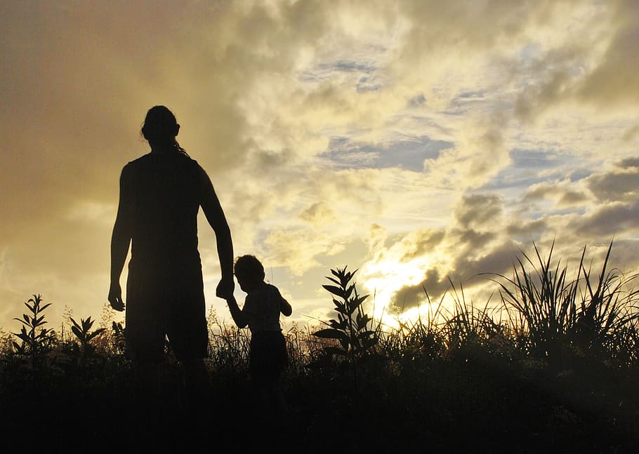 silhouette, man, kid, grasses, sunrise, father, son, together, happy, exploring