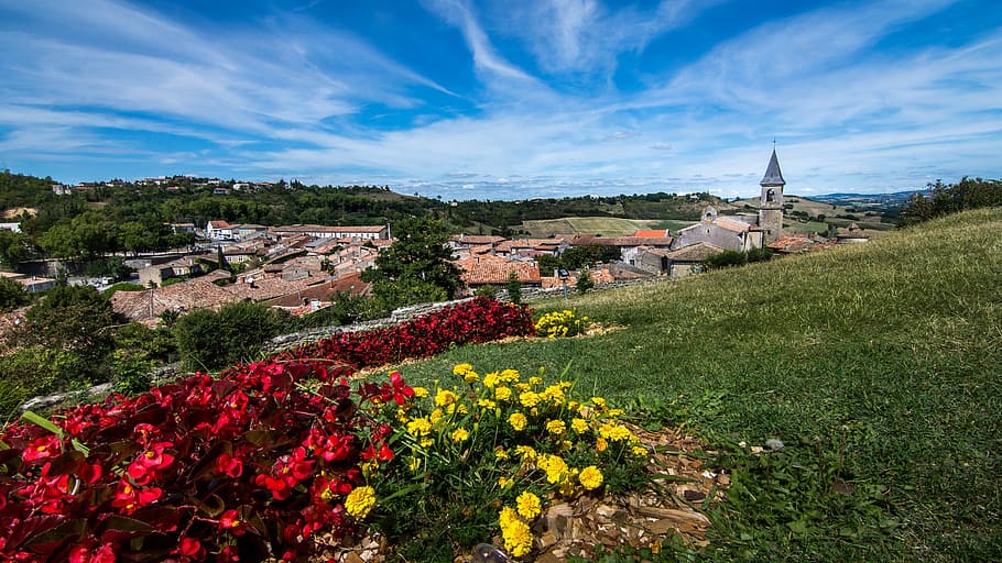 Lautrec, medieval, pueblo, Tarn, Occitania, Francia, Europa, flor, paisaje, arquitectura