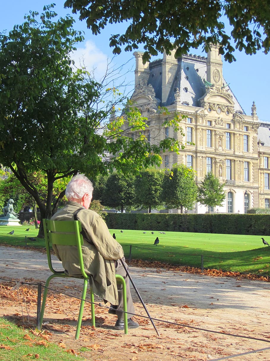 old, man, Old Man, Louvre Palace, pavillon de marsan, lawn, park, museum, paris, france