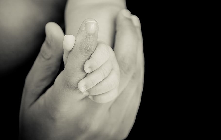 baby, newborn, child, parenting, parent, father, dad, hands, tenderness, human hand