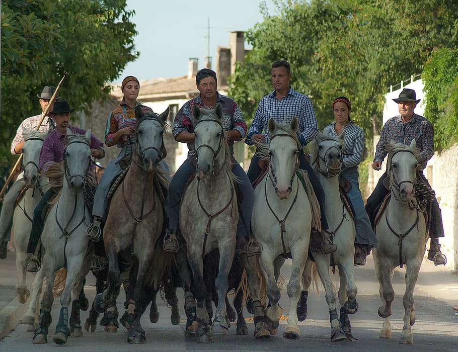 people, riding, horses, daytime, camargue, gardians, riders, camargue horse, group of people, domestic animals