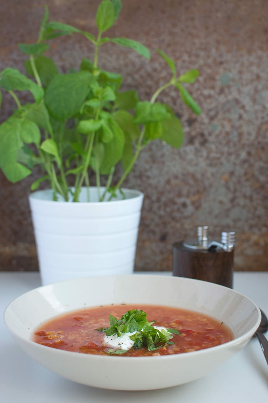 red, lentils soup, tomatoes, sour, cream, mint, Red lentils, soup, sour cream, healthy