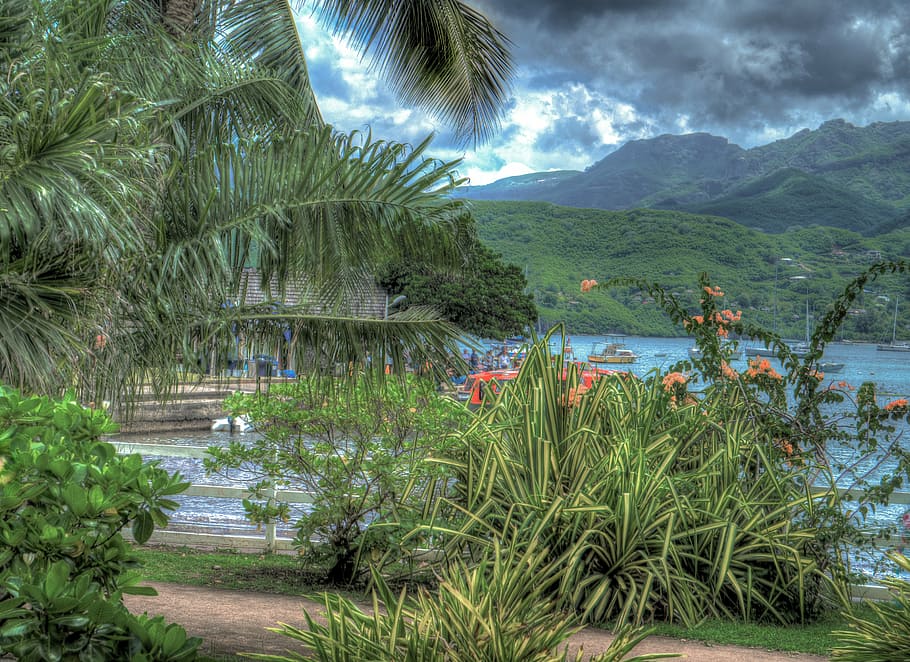 nuva hiva, marquesas island, french polynesia, south pacific, mountain, landscape, flowers, ocean, sea, travel