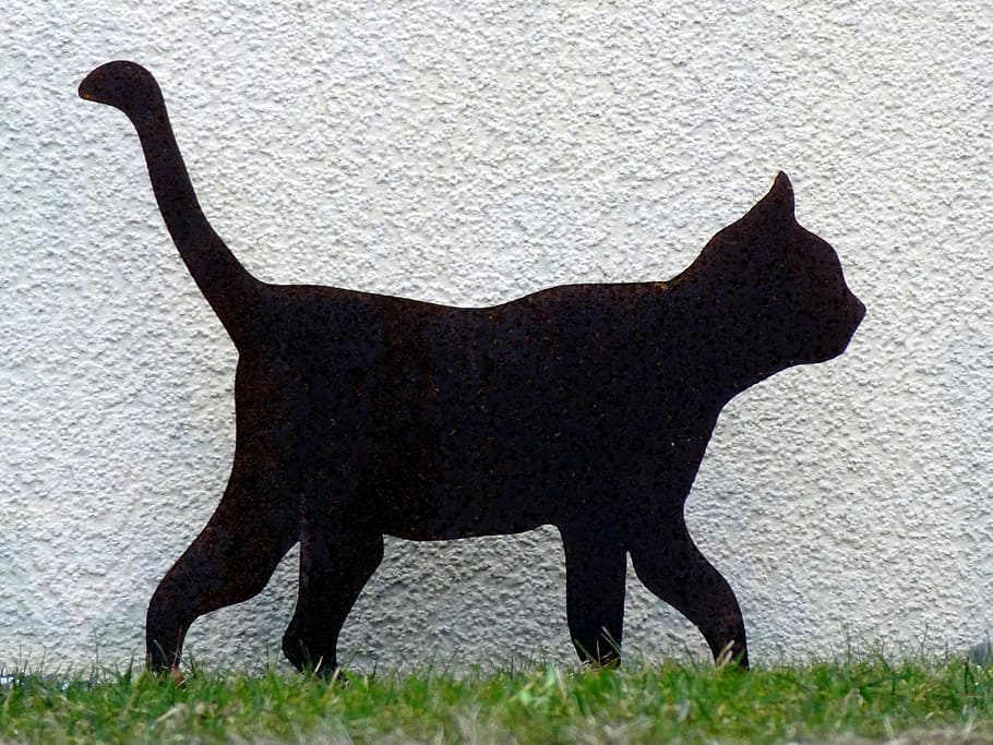 Kucing, Siluet, Hewan Peliharaan, Hewan, hitam, adidas, aneh, fantasi, kucing hitam, dunia binatang