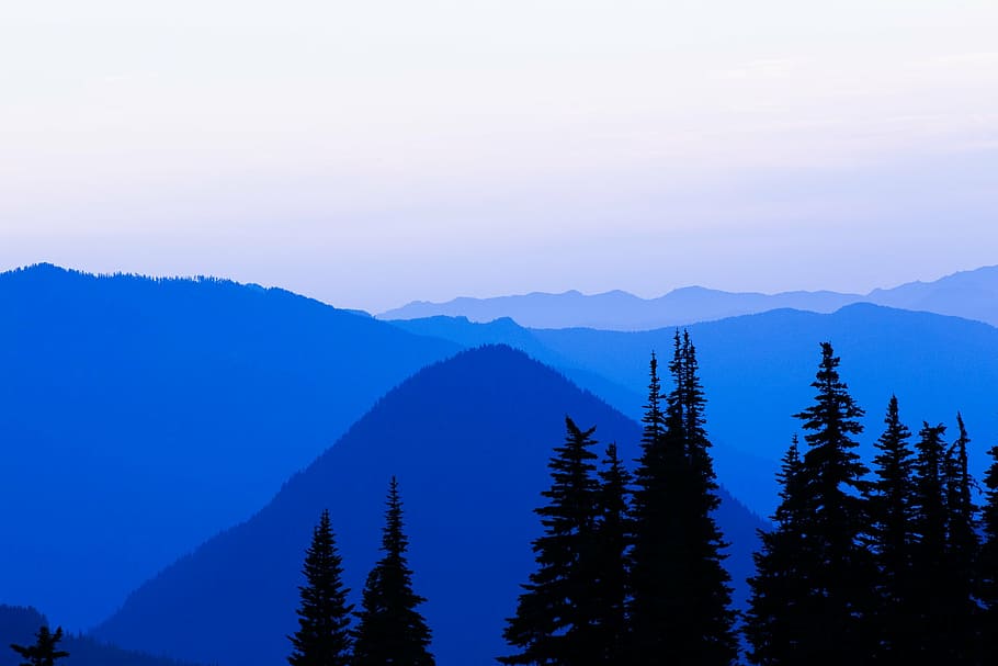 foto de silhueta, pinheiro, nublado, céu, silhueta, árvores, montanha, dia, azul, sombra