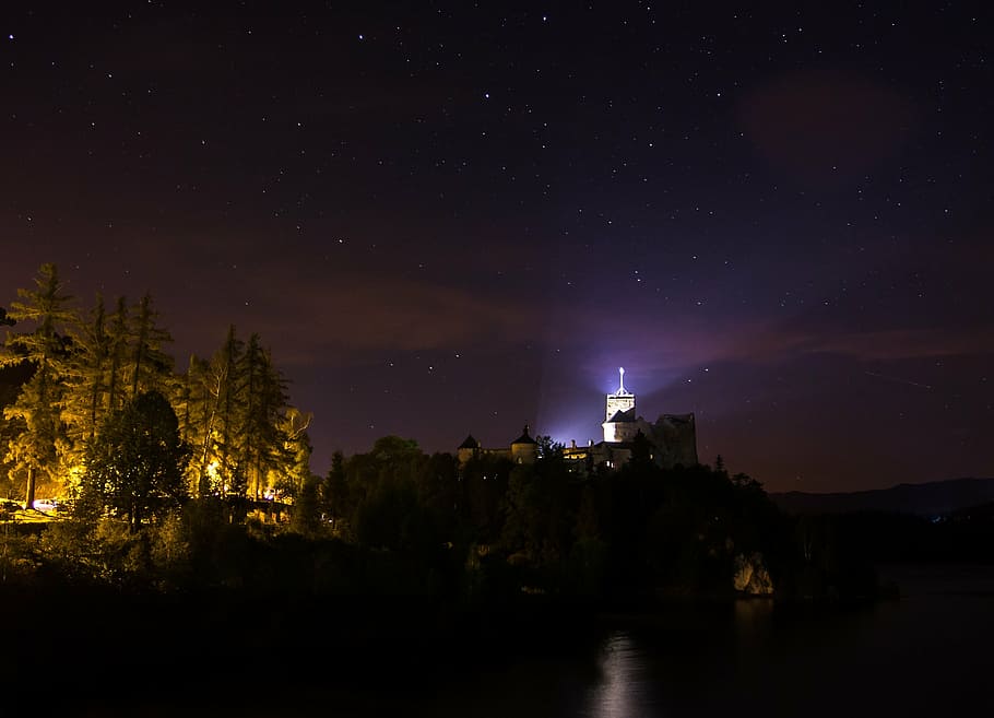 lighthouse during night, village, near, forest, night, time, dark, sky, stars, building