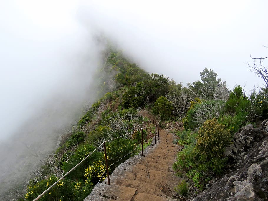 la niebla, escaleras, montañas, el camino, camino, escaleras de piedra, ruta de senderismo, senderismo de montaña, turismo, deambular