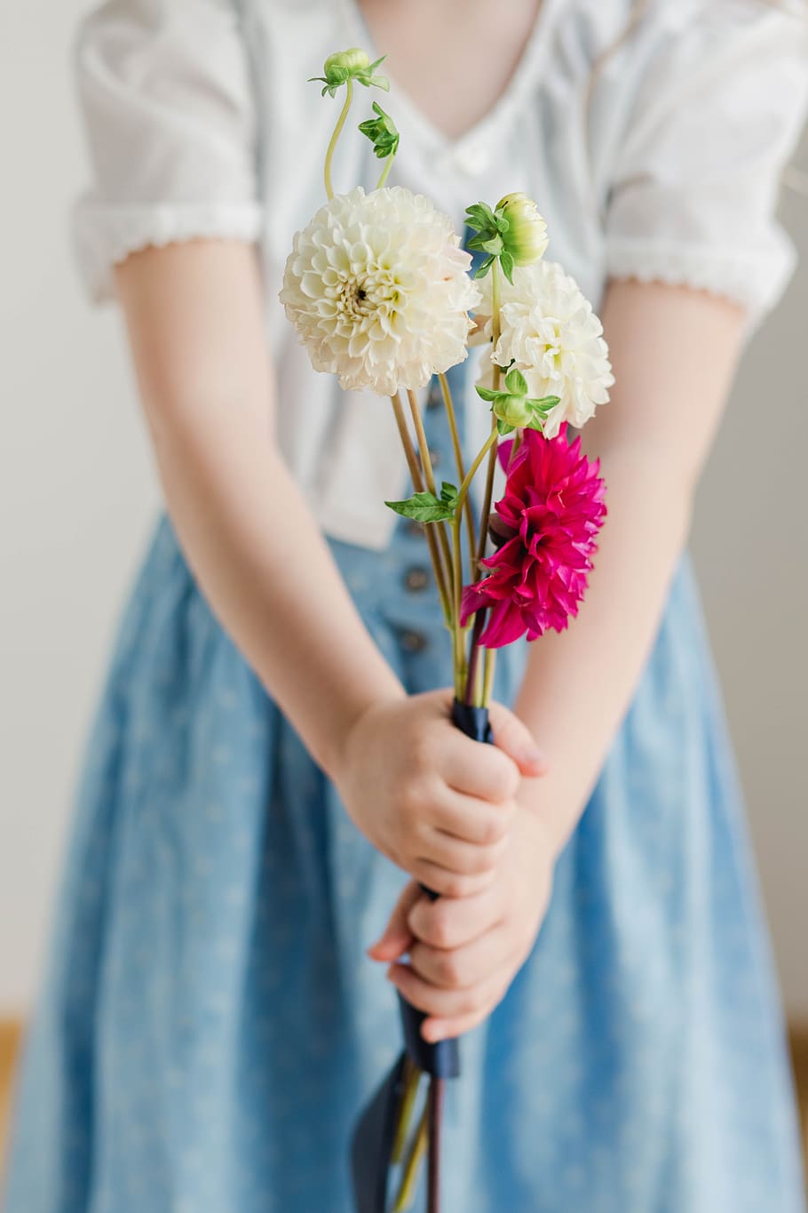 austrian dress, dahlias, girl holding flowers, red, white, child, dirndl, portrait, flower, blue dress