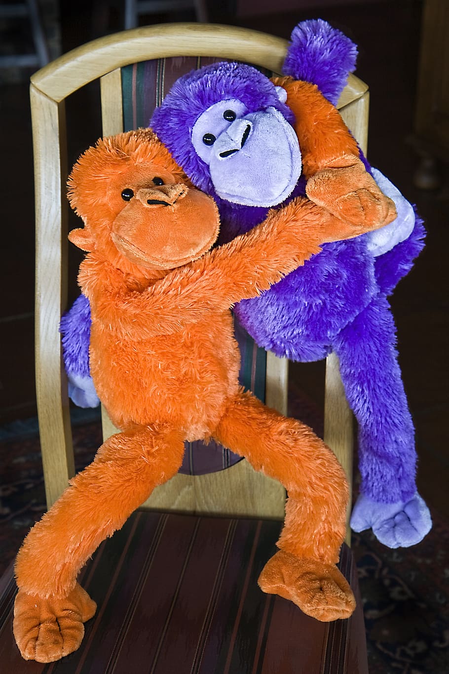 orange, monkey hug, purple, plush, toys, monkey, fluffy toy, ape, cuddly, soft