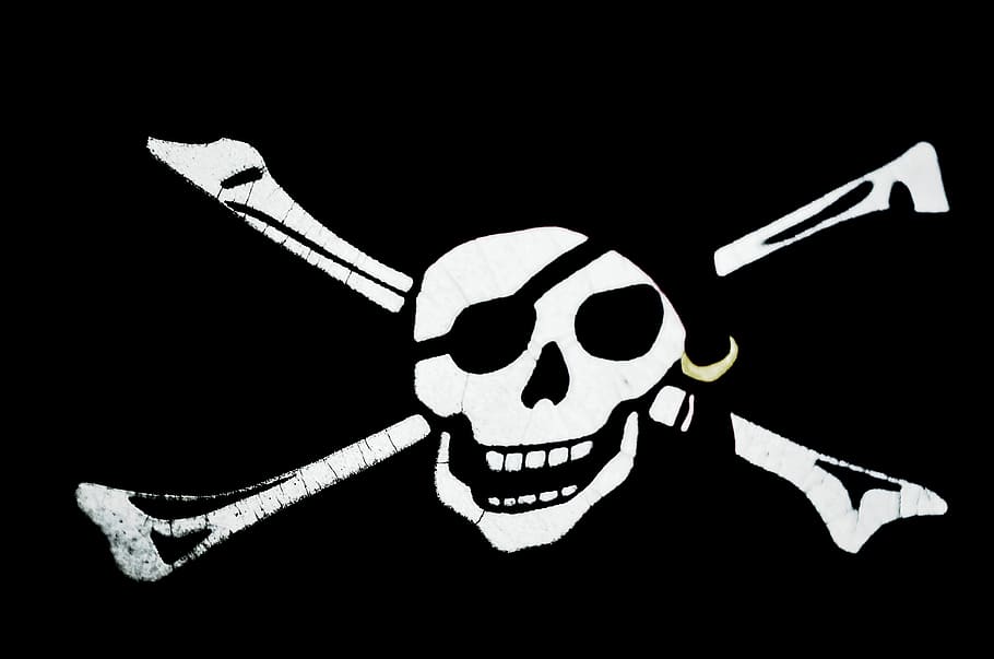 海賊頭蓋骨のロゴ, 海賊, シンボル, 頭蓋骨, 骨, 獲物, 危険, 背景, フラグ, バナー