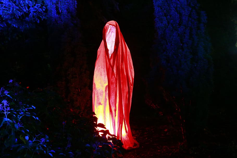 person, wearing, red, shawl, surrounded, leaves, cloth, middle, forest, ghost
