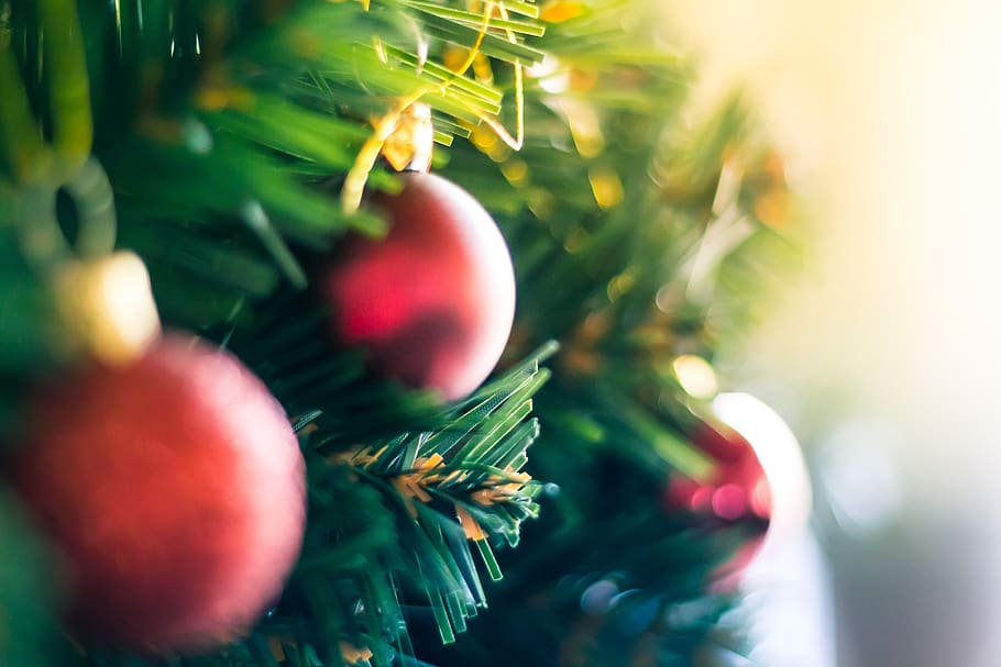 natal, árvore, enfeites, decorações, festivo, feriados, foco seletivo, close-up, comida e bebida, planta