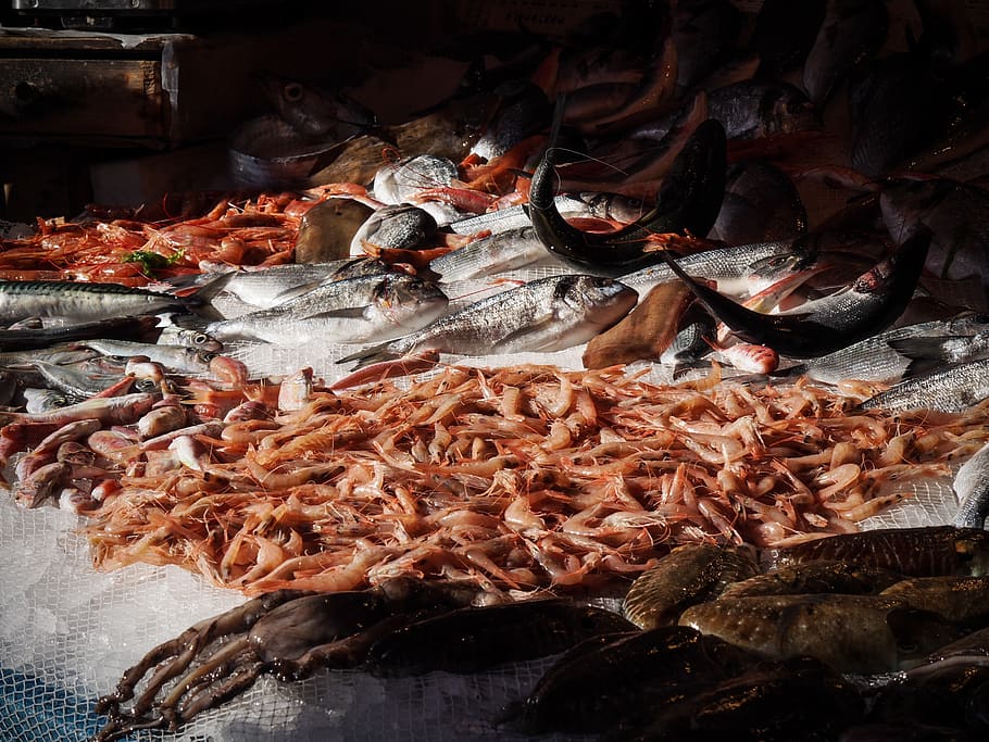 市場, 魚, カターニア, シチリア, エビ, シーフード, 新鮮, 食べ物, 食べ物と飲み物, 魚介類