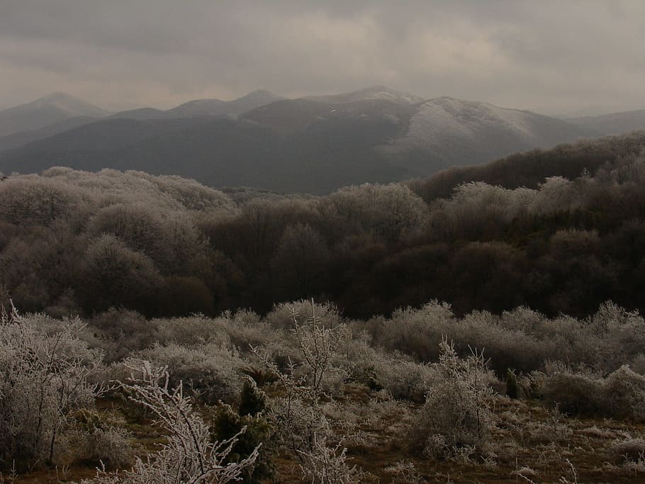Montanha dos Balcãs, Neve, Inverno, Bulgária, natureza, paisagem, montanha, árvore, floresta, paisagens