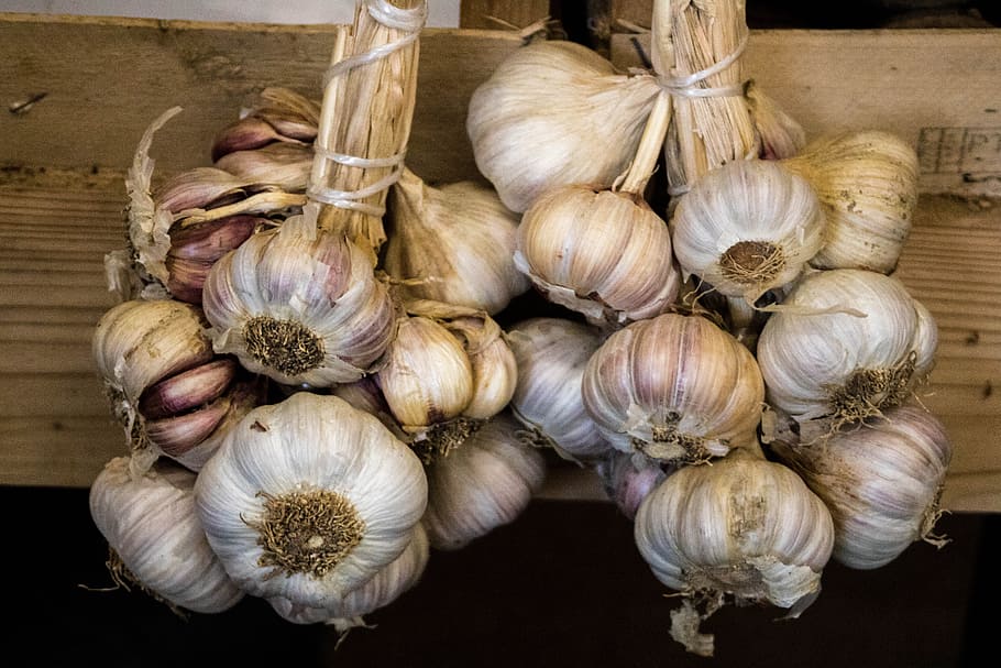 food, garlic, vegetable, ingredient, comanche, spice, food and drink, garlic bulb, freshness, wellbeing