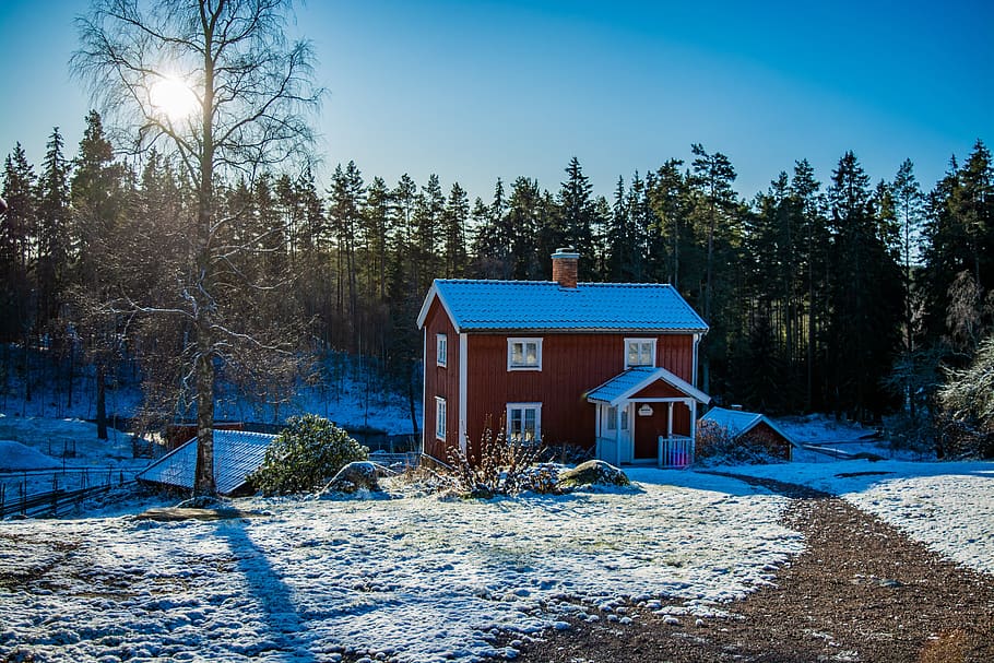 casa de madera, cabaña, bosque, nieve, antiguo, paisaje, naturaleza,  idilio, azul, vacaciones | Pxfuel