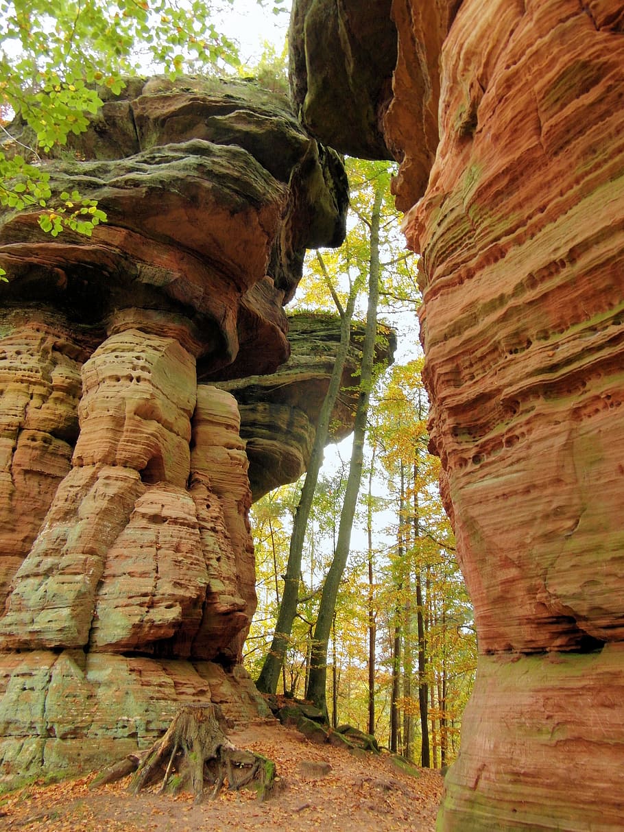 sandstone rocks, sand stone, erosion, rock, palatinate, tree, emerge, autumn, forest, colorful