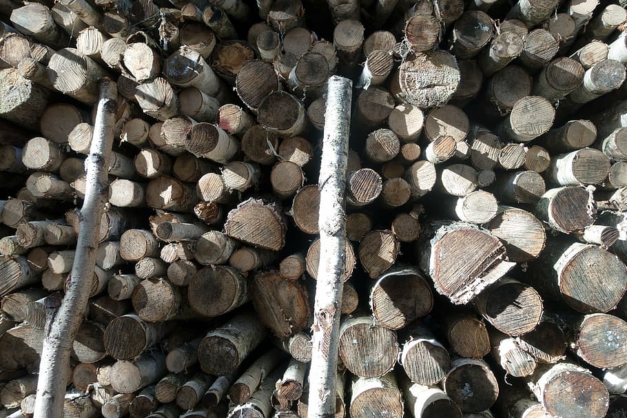 wood, birch, firewood, holzstapel, growing stock, timber, stacked up, sawed off, storage, strains