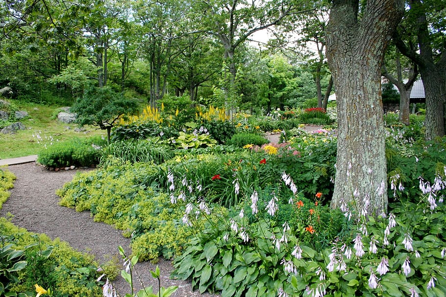 Jardín, camino, flores, árboles, natural, verano, pasarela, jardinería, paisajismo, patio