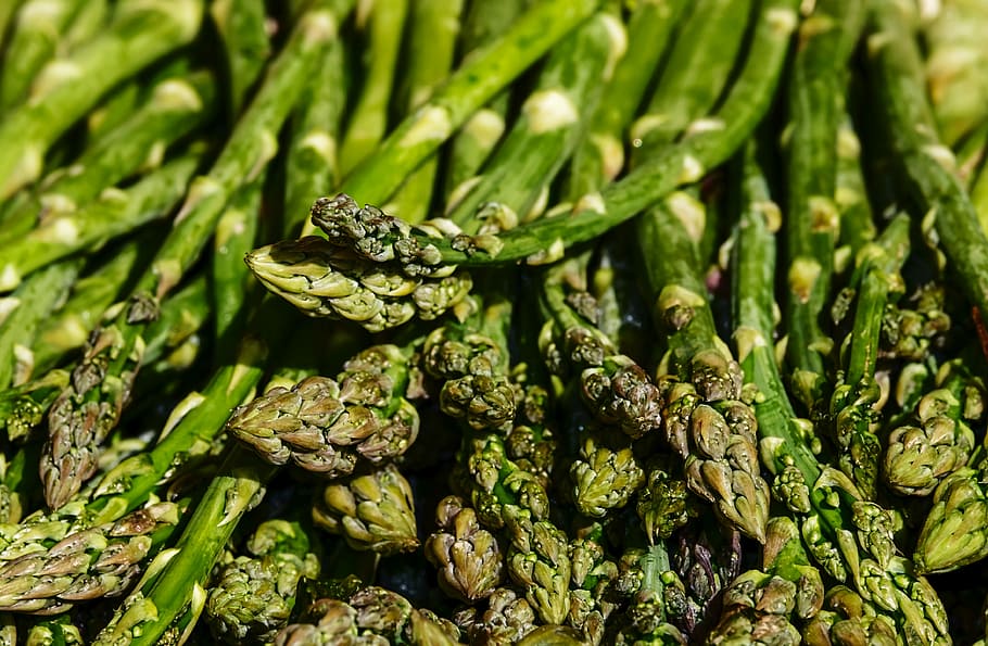 tanaman strip hijau, asparagus, asparagus hijau, hijau, waktu asparagus, sayuran, lezat, hidangan favorit, makanan, sehat