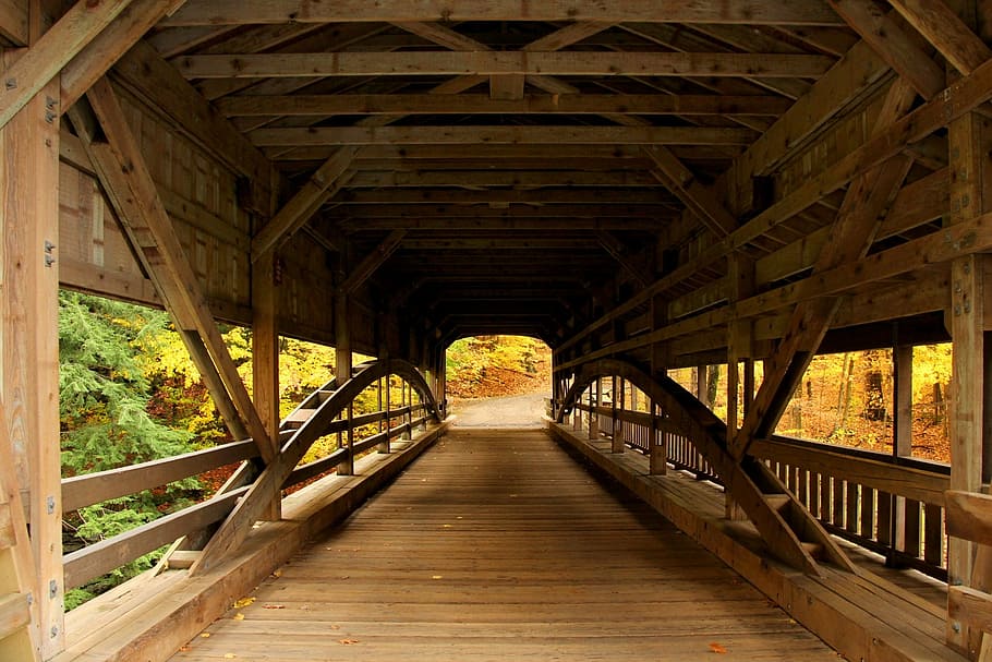 橋, 覆われた橋, 森, 森の景色, 秋, 黄色, 葉, 影, 木製の橋, 昔ながら