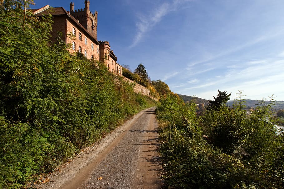 neckarsteinach, castle, lane, odenwald, sky, plant, direction, tree, the way forward, nature