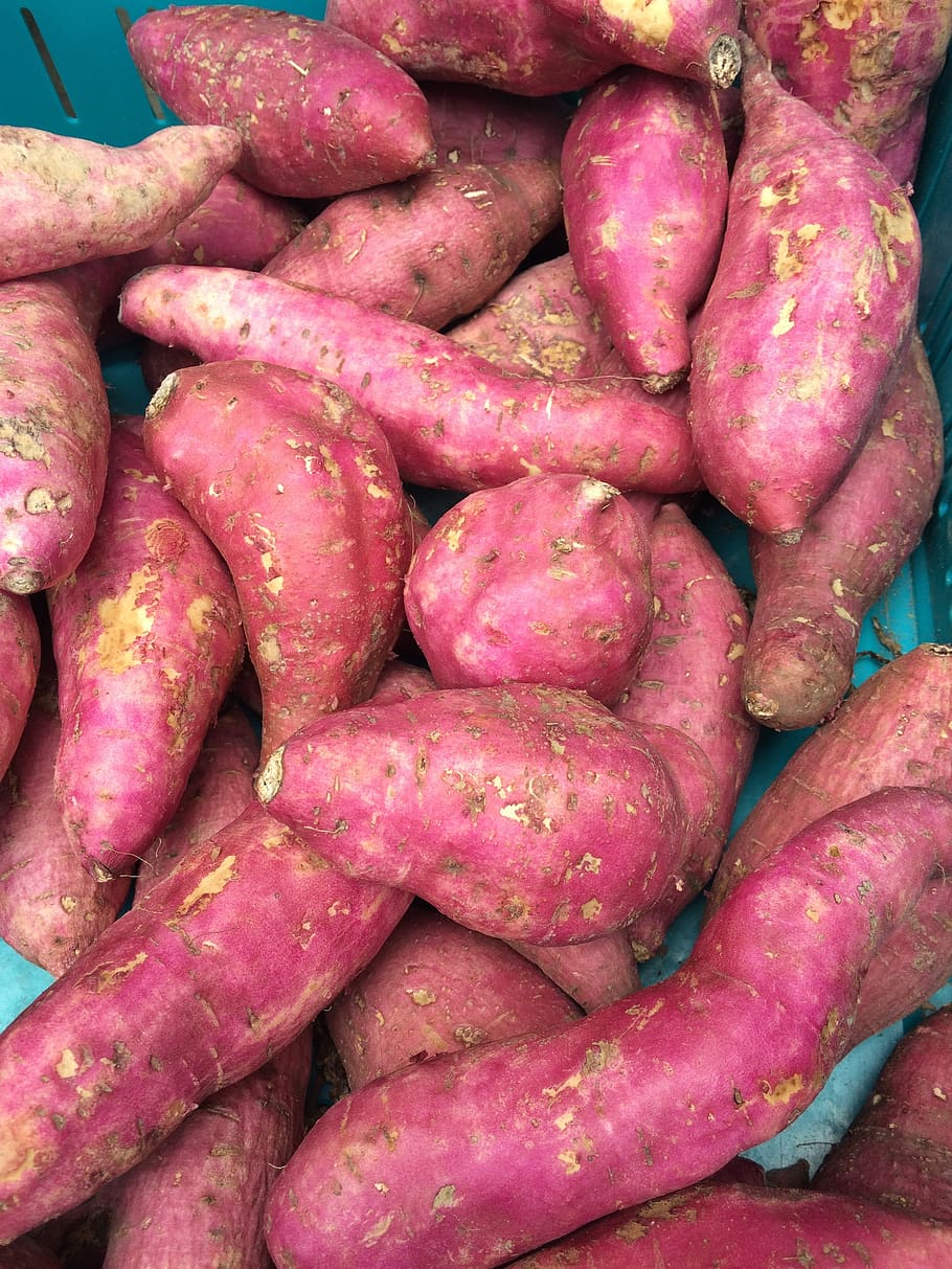 pink potato, vegetable, market, holland, food, food and drink, freshness, healthy eating, abundance, sweet potato