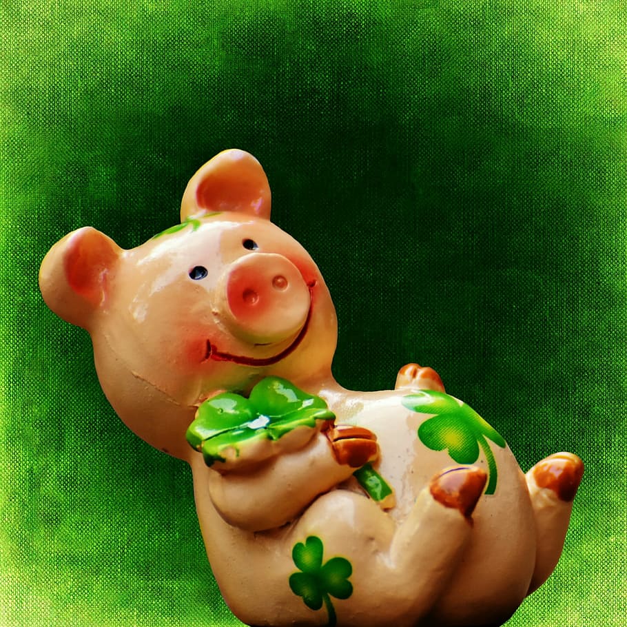 luck, piglet, lucky pig, cute, lucky charm, sow, new year's eve, new year's day, greeting card, sweet