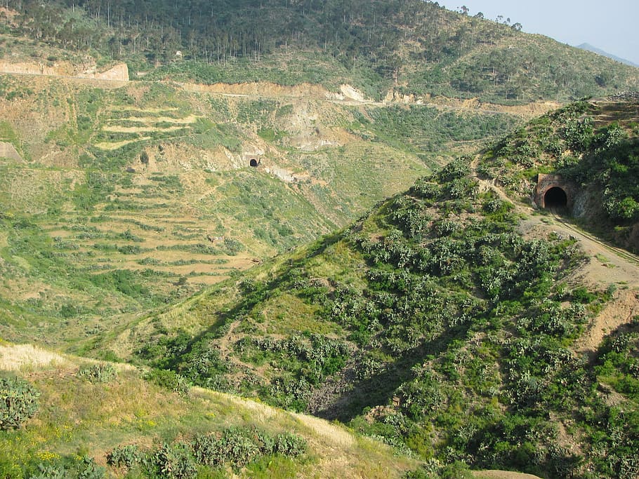 eritrea, landscape, valley, forest, woods, trees, mountains, green, ravine, nature