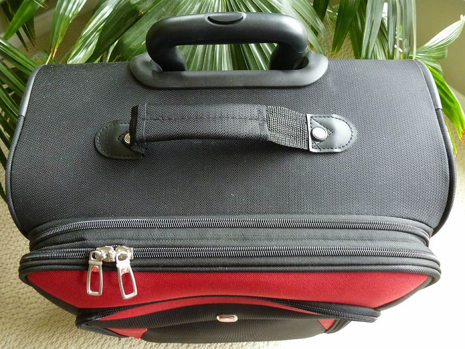 equipaje, maleta, bolsa, compartimento, cremallera, asa, vertical, viaje, ninguna persona, interiores