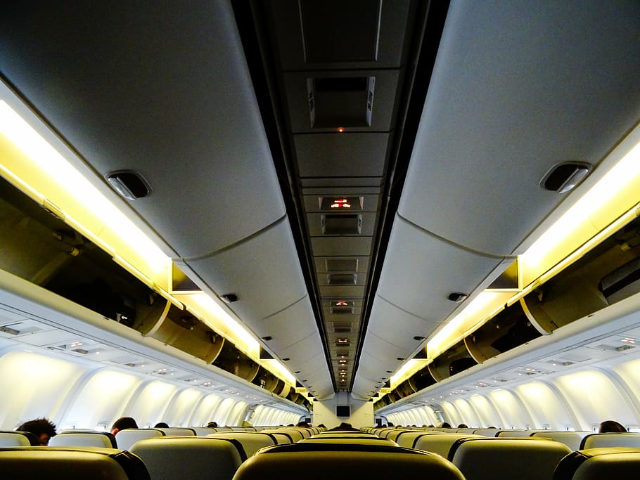 branco, preto, avião comercial, interior, aeronave, assento, feriado, viagem, funcionamento interno, turismo
