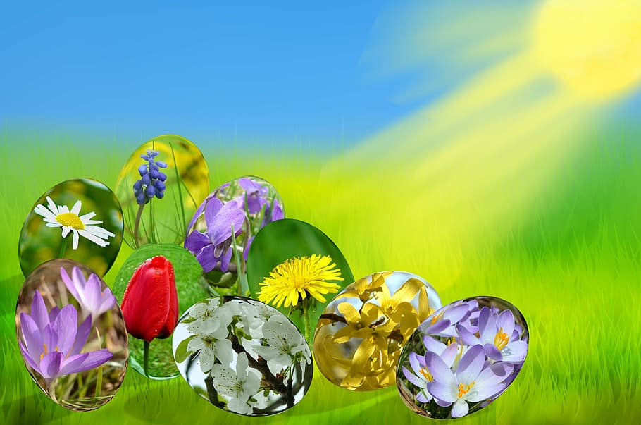 assorted-color flowers, easter, eggs, spring, sun, grass, green, sky, blue, light