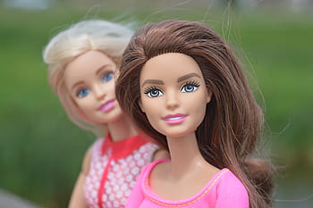 dark haired barbie doll