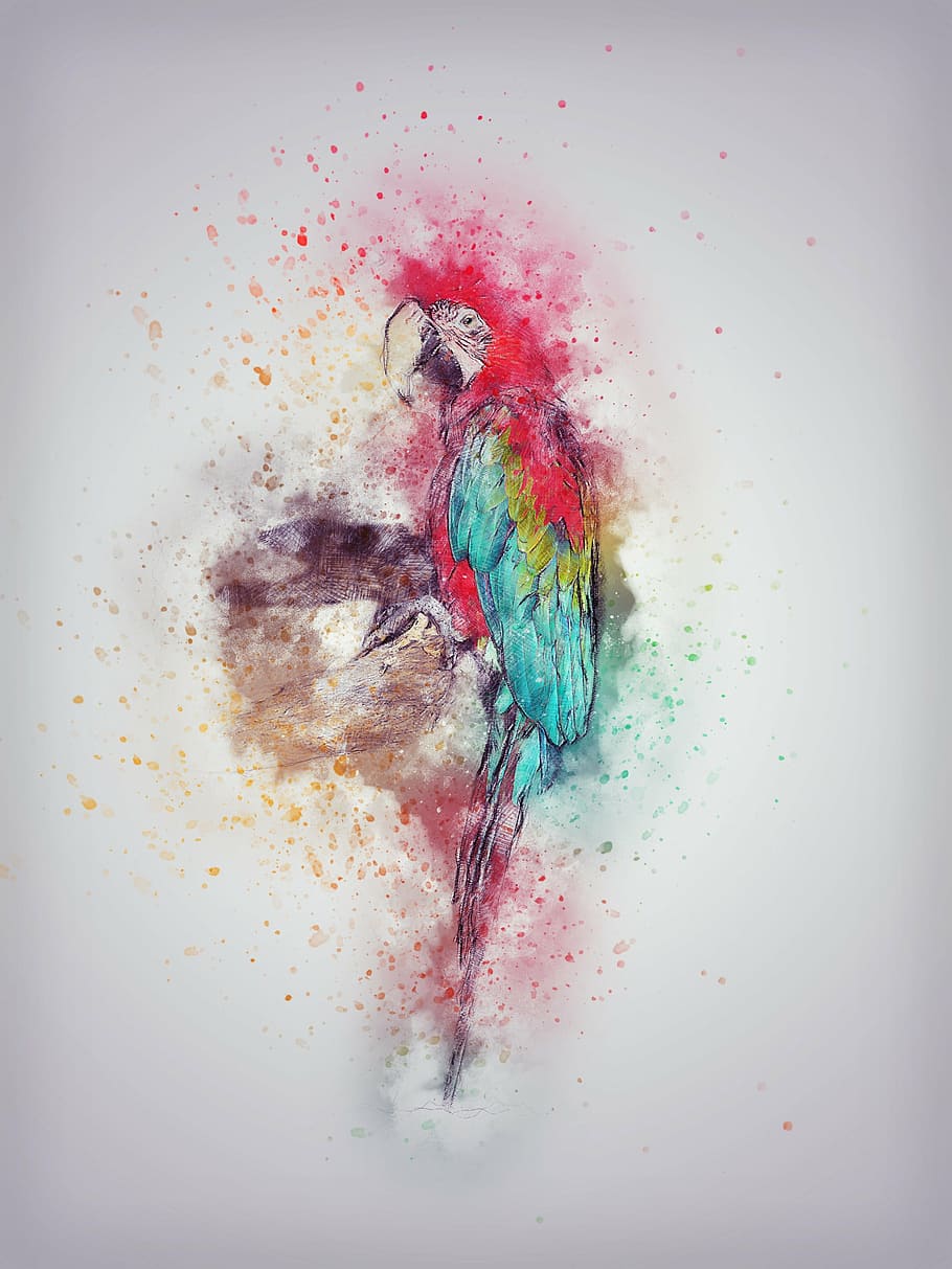 red, blue, yellow, parrot painting, parrot, bird, feathering, art, abstract, nature