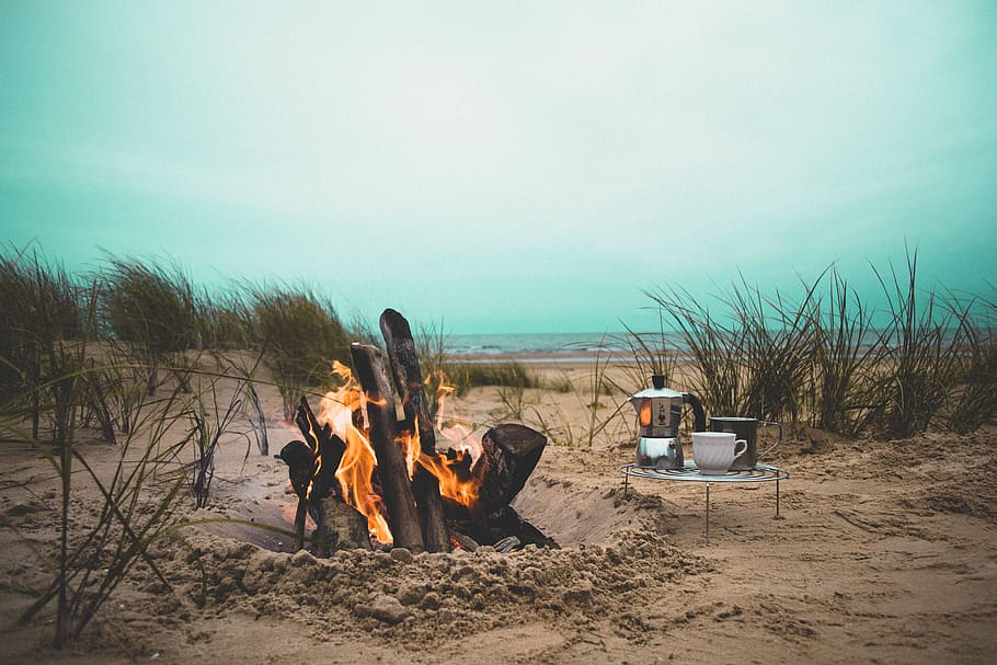 fogo, chama, fogueira, praia, calor, lenha, grama, areia, utensílios de cozinha, piquenique