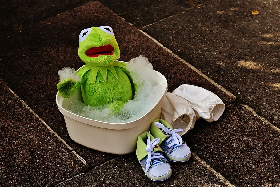 kermit, frog, white, plastic bucket, bath, bath foam, funny, cute, swim, foam