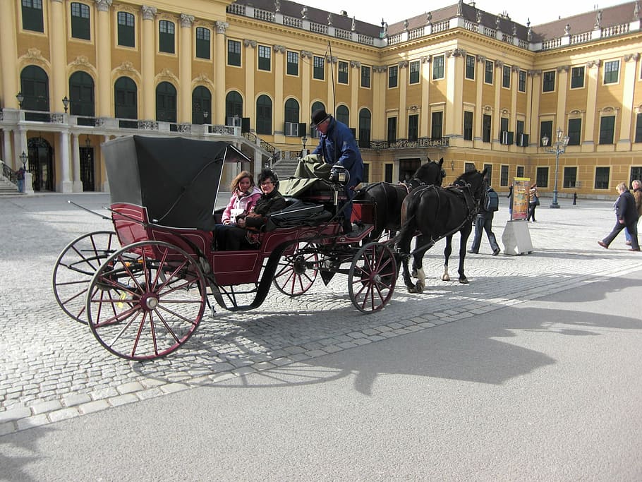 Schönbrunn, Vienna, Austria, vienna, austria, horse drawn carriage, castle, built structure, building exterior, architecture, winter