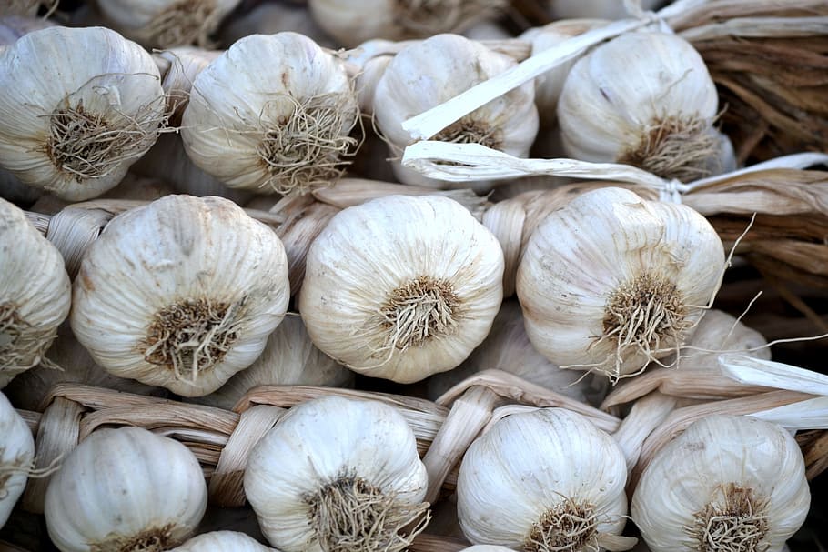 garlic, white, vegetables, food and drink, food, healthy eating, freshness, wellbeing, vegetable, ingredient