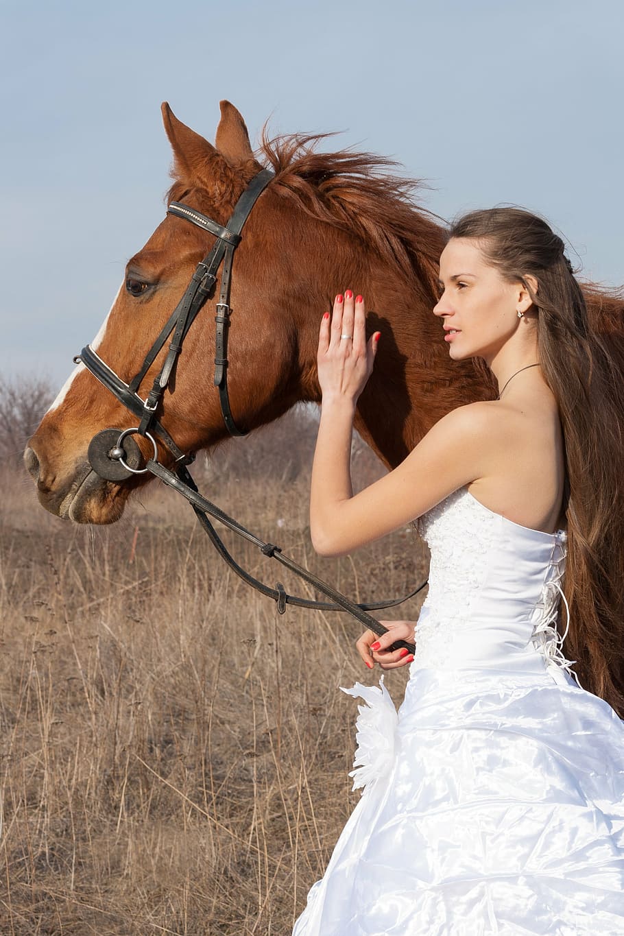 mujer, vestido tubo, tenencia, marrón, caballo, vestido de novia, campo, boda, niña, vestido de dama de honor