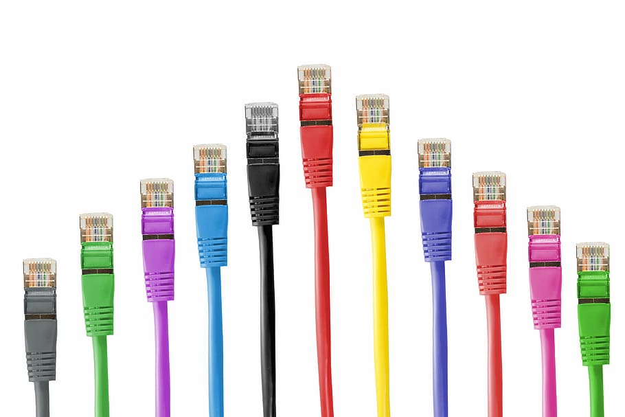 cabos lan de cores sortidas, cabos de rede, cabo, remendo, cabo de conexão, rede, linha, fs, processamento de dados, conexão