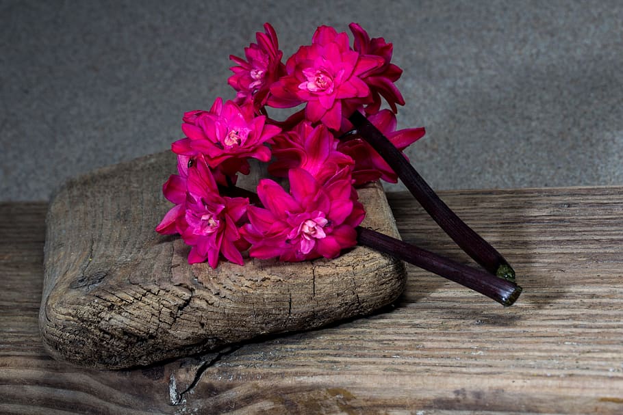 Flower, Hyacinth, Still Life, Wood, wooden board, wood - Material, bouquet, nature, table, petal