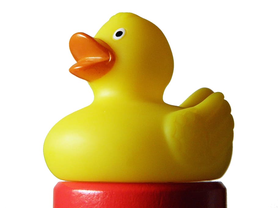 yellow, rubber ducky, red, surface, Bath, Rubber Duckies, Plastic, bath duck, duck, cut out
