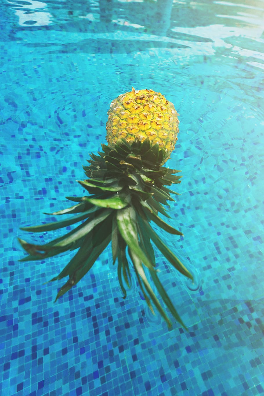 pineapple, body, water, float, floating, fruit, mexico, pool, resort, summer